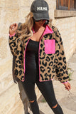 ColorBlock Fleece Jacket